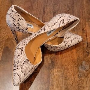 Steve Madden Snakeskin Heels